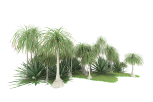 Realistic forest isolated on transparent background. 3d rendering - illustration png