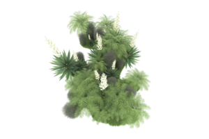 Realistic forest isolated on transparent background. 3d rendering - illustration png