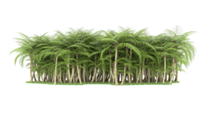 forêt réaliste isolée sur fond transparent. rendu 3d - illustration png