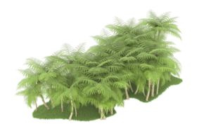 Realistic forest isolated on transparent background. 3d rendering - illustration png