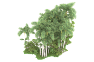 floresta realista isolada em fundo transparente. renderização 3D - ilustração png