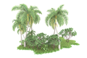 Realistic forest isolated on transparent background. 3d rendering - illustration png