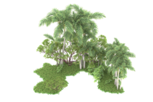 realistico foresta isolato su trasparente sfondo. 3d interpretazione - illustrazione png