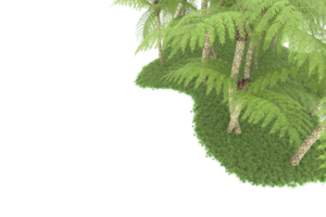 forêt réaliste isolée sur fond transparent. rendu 3d - illustration png