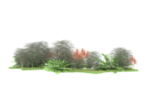 Realistic forest isolated on transparent background. 3d rendering - illustration png