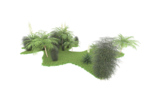 Realistic forest isolated on transparent background. 3d rendering - illustration png