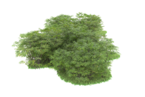 Realistic forest isolated on transparent background. 3d rendering - illustration png