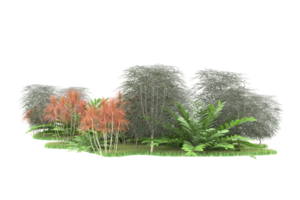 Realistic forest isolated on transparent background. 3d rendering - illustration png