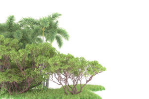 Realistic forest isolated on transparent background. 3d rendering - illustration png