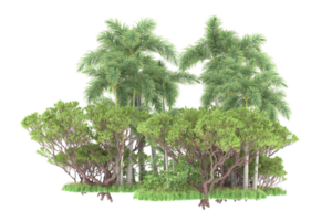 Realistic forest isolated on transparent background. 3d rendering - illustration png