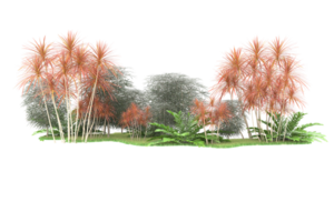 Realistic forest isolated on transparent background. 3d rendering - illustration png