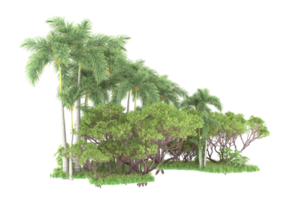 Realistic forest isolated on transparent background. 3d rendering - illustration png