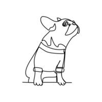 Pugs vector illustration