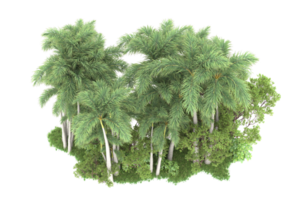 Realistic forest isolated on transparent background. 3d rendering - illustration png