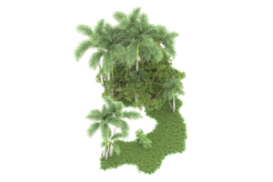 forêt réaliste isolée sur fond transparent. rendu 3d - illustration png