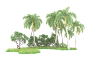 Realistic forest isolated on transparent background. 3d rendering - illustration png