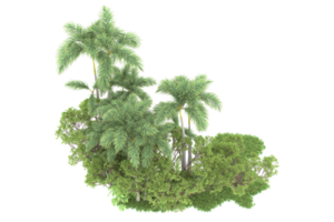 Realistic forest isolated on transparent background. 3d rendering - illustration png