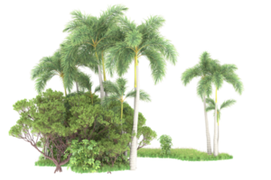 Realistic forest isolated on transparent background. 3d rendering - illustration png