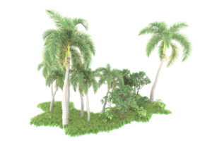 Realistic forest isolated on transparent background. 3d rendering - illustration png