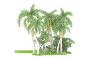 forêt réaliste isolée sur fond transparent. rendu 3d - illustration png