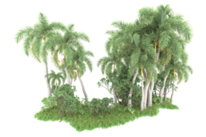 Realistic forest isolated on transparent background. 3d rendering - illustration png