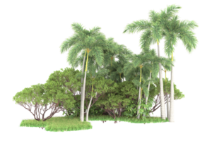 Realistic forest isolated on transparent background. 3d rendering - illustration png