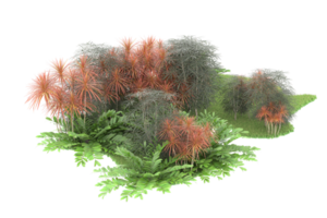 Realistic forest isolated on transparent background. 3d rendering - illustration png