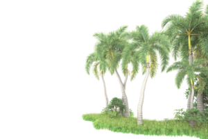 forêt réaliste isolée sur fond transparent. rendu 3d - illustration png