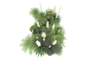 Realistic forest isolated on transparent background. 3d rendering - illustration png