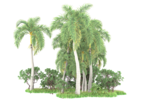 Realistic forest isolated on transparent background. 3d rendering - illustration png