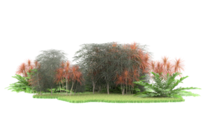 Realistic forest isolated on transparent background. 3d rendering - illustration png