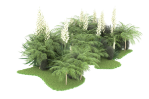 forêt réaliste isolée sur fond transparent. rendu 3d - illustration png