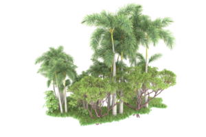 Realistic forest isolated on transparent background. 3d rendering - illustration png