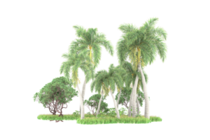 Realistic forest isolated on transparent background. 3d rendering - illustration png