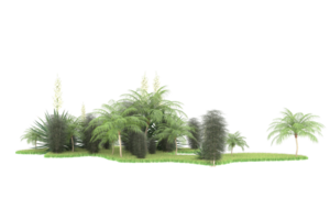 Realistic forest isolated on transparent background. 3d rendering - illustration png