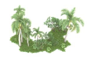 forêt réaliste isolée sur fond transparent. rendu 3d - illustration png