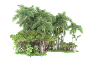 Realistic forest isolated on transparent background. 3d rendering - illustration png