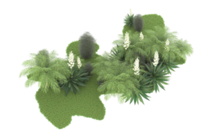 Realistic forest isolated on transparent background. 3d rendering - illustration png