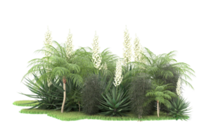 forêt réaliste isolée sur fond transparent. rendu 3d - illustration png