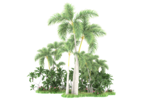 Realistic forest isolated on transparent background. 3d rendering - illustration png