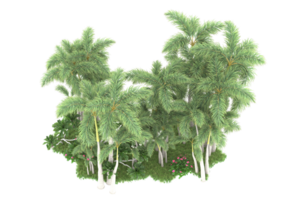 Realistic forest isolated on transparent background. 3d rendering - illustration png