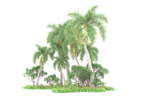 Realistic forest isolated on transparent background. 3d rendering - illustration png