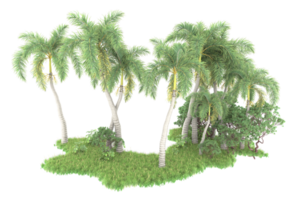 Realistic forest isolated on transparent background. 3d rendering - illustration png