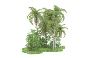 Realistic forest isolated on transparent background. 3d rendering - illustration png