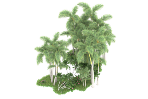 Realistic forest isolated on transparent background. 3d rendering - illustration png