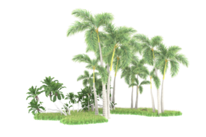 Realistic forest isolated on transparent background. 3d rendering - illustration png