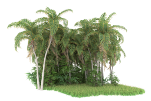 floresta realista isolada em fundo transparente. renderização 3D - ilustração png