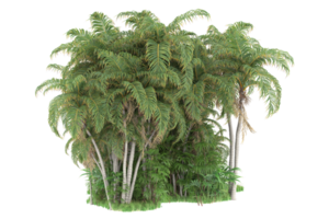 forêt réaliste isolée sur fond transparent. rendu 3d - illustration png