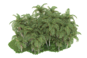 forêt réaliste isolée sur fond transparent. rendu 3d - illustration png