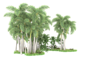 forêt réaliste isolée sur fond transparent. rendu 3d - illustration png